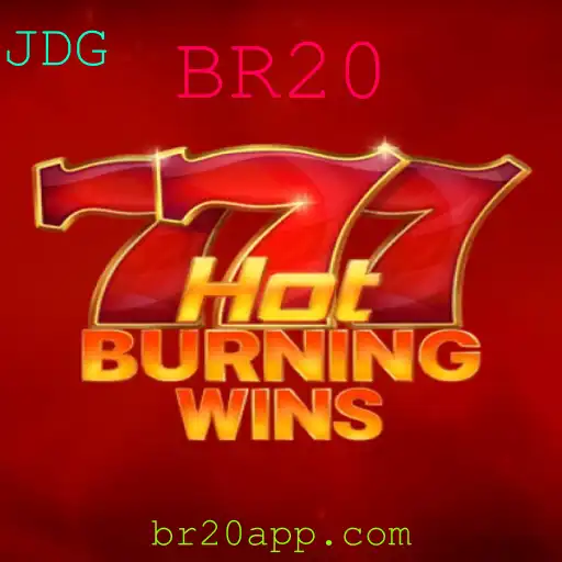 Descubra o Universo Vibrante do Jogo HotBurningWins BR20